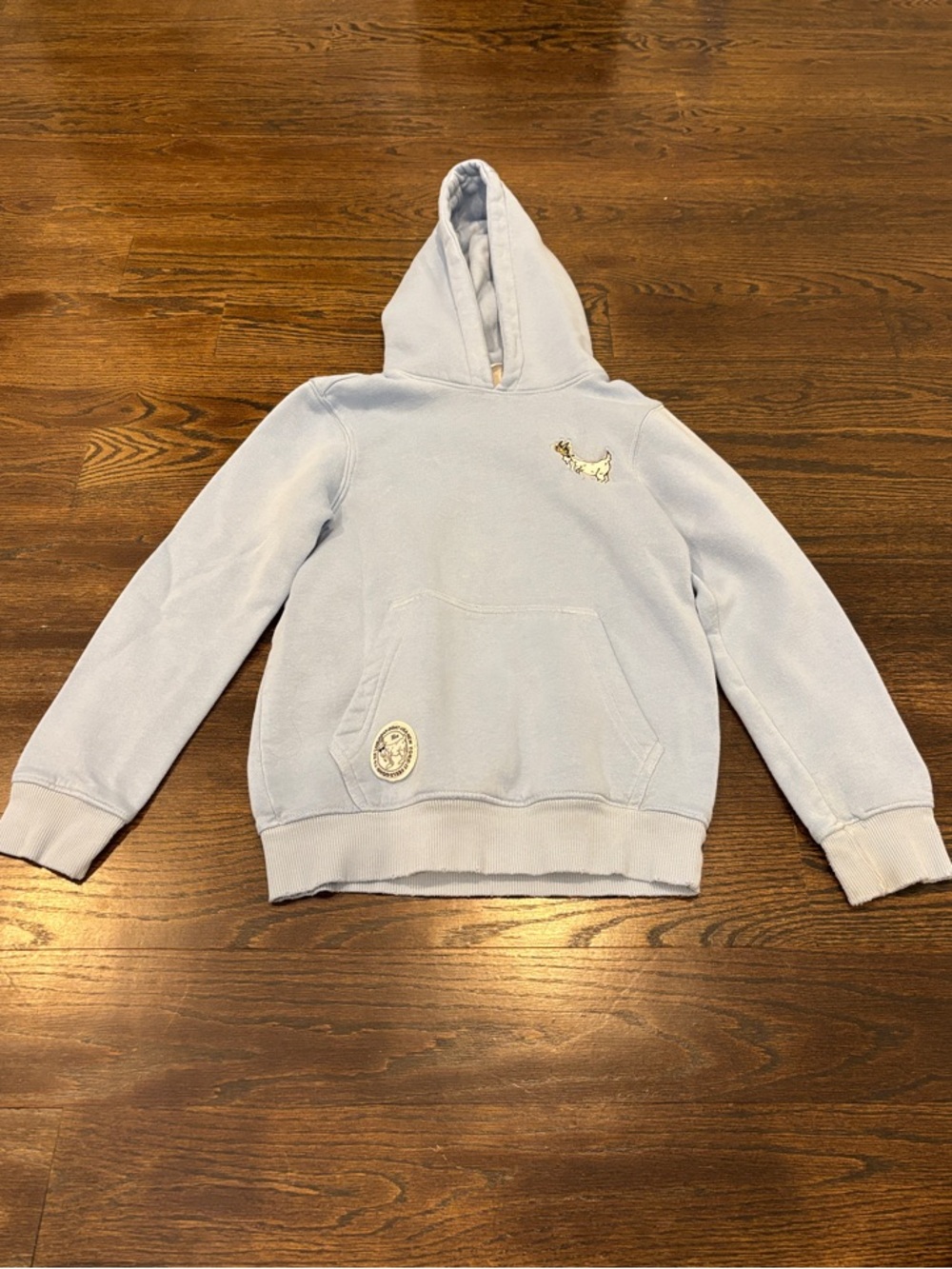 GOAT USA Boys Light Blue Pullover Hoodie Size Medium